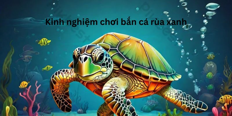 Bắn Cá Rùa Xanh Nhà Cái 123B: Đồ Họa Và Phần Thưởng Hấp Dẫn 5 Tổng hợp mẹo chơi rùa xanh hiệu quả