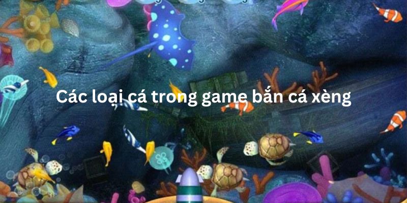 Chiến Thuật Chơi Bắn Cá Xèng Trên 123B Giúp Bạn Thắng Lớn 3 Các loại sinh động đang có trong game