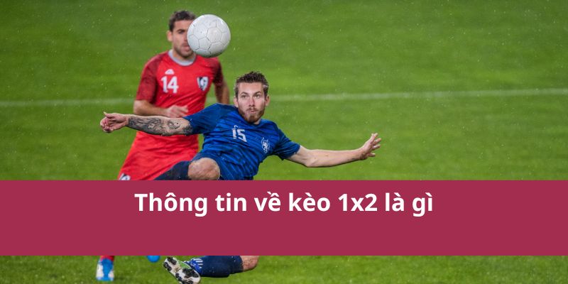 Kèo 1x2 Là Gì? Giải Thích Chi Tiết Và Cách Đọc Kèo Năm 2025 2 Kèo 1x2 Là Gì? Giải Thích Chi Tiết Và Cách Đọc Kèo Năm 2025