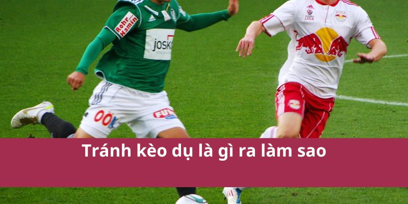Kèo Dụ Là Gì? Hiểu Rõ Để Tránh Sập Bẫy Khi Cá Cược 4 Kèo Dụ Là Gì? Hiểu Rõ Để Tránh Sập Bẫy Khi Cá Cược