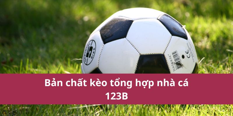 Cách Hiểu Và Đặt Kèo Xiên Hiệu Quả Trong Cá Cược Thể Thao 2 Cách Hiểu Và Đặt Kèo Xiên Hiệu Quả Trong Cá Cược Thể Thao