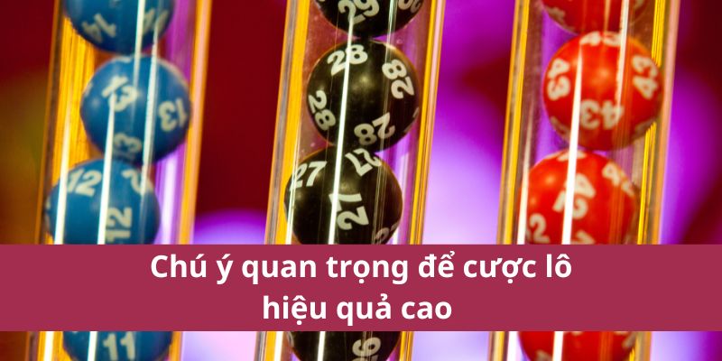 Cách Chơi Lô Câm Và Những Điều Cần Biết Về Lô Đề 4 Chú ý quan trọng để cược lô hiệu quả cao